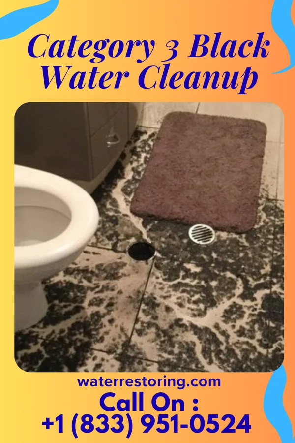 Category 3 Black Water Cleanup in Hanover Park, IL