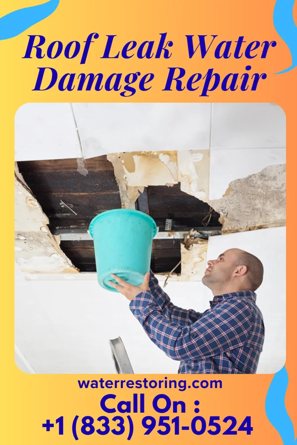 Roof Leak Water Damage Repair in Hanover Park, IL